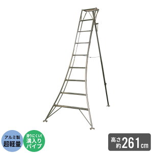 Or ͂ A~ y r 9/261cm |p |Or A~Or | ͂ q ܂肽 ܂ y A~  n Xebv Ɨp  n  _ 