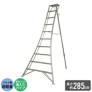 Or ͂ A~ y r 10/285cm |p |Or A~Or | ͂ q ܂肽 ܂ y A~  n Xebv Ɨp  n  _ 