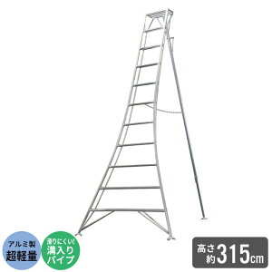 Or ͂ A~ y r 11/315cm |p |Or A~Or | ͂ q ܂肽 ܂ y A~  n Xebv Ɨp  n  _ 