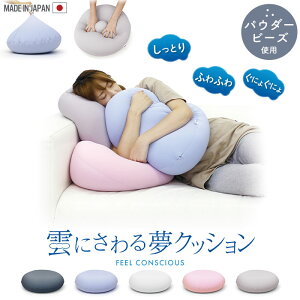 NbV r[Y w  pE_[r[Y { 40×40×15cm s r[YNbV ӂӂ _  Q