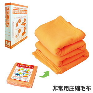 kѕz pkѕz ѕz uPbg ~ p A4[ ̂ ڈ F XL[F oHm hJr h S