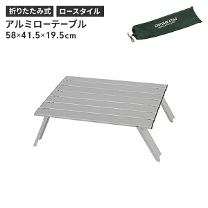 [e[u A~ BBQ e[u [X^C 58 s41.5 19.5 ω׏d30kg [obOt RpNg ܂肽