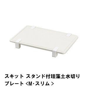 y|Cg5{ 11/21 10:00-12/05 09:59zXLbg X^ht]y؂v[g M X