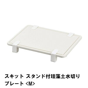 y|Cg5{ 11/21 10:00-12/05 09:59zXLbg X^ht]y؂v[g M