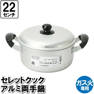  22cm Wt A~ KX G ύݗ 䥂ł J[ |gt X[v \[X X` 痿 g   