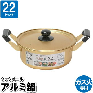   y KX 22cm Wt A~ S[h ߂ ϕ ϋ ύݗ 䥂ł X` X[v |gt