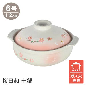y 6 1lp   KX y炲͂   邢  a sN F l炵 Pg 񂹓 L` 