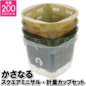 ؂肩 ؂JS lp  U X^bN d˂ ڐt vX`bN 10×10×7.5cm dqW H@Ή { Y