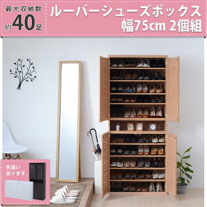 y|Cg5{ 11/21 10:00-12/05 09:59z[o[V[Y{bNX 75 (2g) X V[YbN V[YP[X C C ʔ 75cm