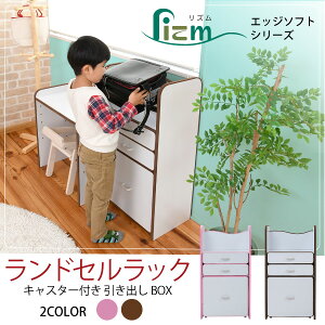 hZbN 48 s29 90 \tgGbWňSȃLbY [ X q bN hZ ؐ LX^[t o