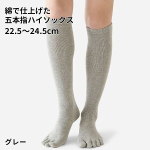 y Tabioz ȂŎdグܖ{wnC\bNX / C C ^rI  fB[X ܖ{w\bNX ܖ{wC 5{w\bNX 5{wC  {