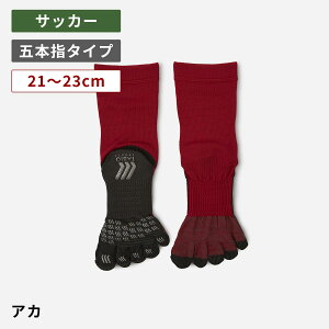 y[֑zy TABIO SPORTSz tbg{[ 5{w \bNX 21`23cm / C C ^rI ^rIX|[c TbJ[ TbJ[\bNX l XgbLO tbgT ܖ{w 