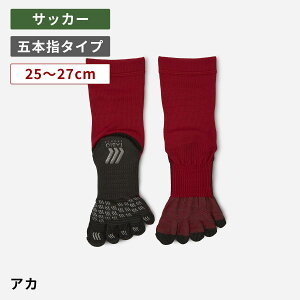 y[֑zy TABIO SPORTSz TbJ[ \bNX tbg{[ 5{w \bNX 25`27cm / C C ^rI Tabio TbJ[\bNX l XgbLO ^rIX|[c Y tb