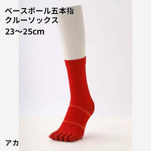 ySi`10/11 23:59zy TABIO SPORTSz x[X{[ ܖ{w N[ \bNX 23`25cm / C C ^rI ^rIX|[c   5{wC ܖ{w\bNX 싅 \bNX 5
