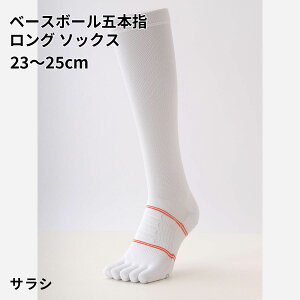 y TABIO SPORTSz x[X{[ ܖ{w O \bNX 23`25cm / C C ^rI ^rIX|[c   nC\bNX Ђ 5{wC ܖ{w\bNX 싅 \bNX 5{w  z