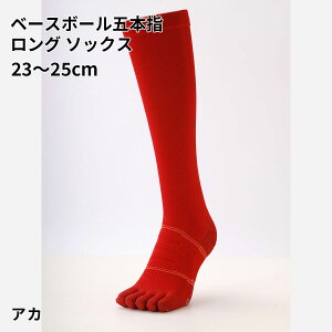 y TABIO SPORTSz x[X{[ ܖ{w O \bNX 23`25cm / C C ^rI ^rIX|[c   nC\bNX Ђ 5{wC ܖ{w\bNX 싅 \bNX 5{w  z