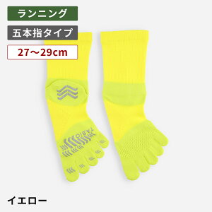 y TABIO SPORTSz [WEB] [VO ܖ{w N[\bNX L 27`29cm / C C ^rI ^rIX|[c  ܖ{w\bNX 5{wC WMO jO  g[j