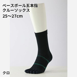 ySi`11/27 09:59zy TABIO SPORTSz x[X{[ ܖ{w N[ \bNX 25`27cm / C C ^rI ^rIX|[c   5{wC ܖ{w\bNX 싅 \bNX 5