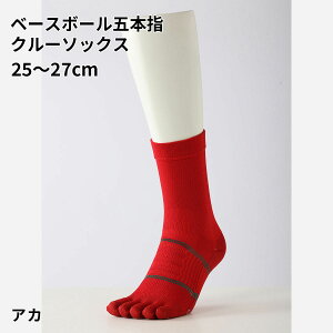 ySi`11/11 23:59zy TABIO SPORTSz x[X{[ ܖ{w N[ \bNX 25`27cm / C C ^rI ^rIX|[c   5{wC ܖ{w\bNX 싅 \bNX 5