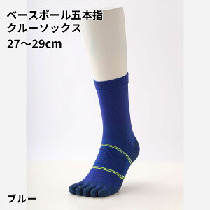 y TABIO SPORTSz x[X{[ ܖ{w N[ \bNX 27`29cm / C C ^rI ^rIX|[c   5{wC ܖ{w\bNX 싅 \bNX 5{w  z  ~ߕt
