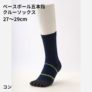 y TABIO SPORTSz x[X{[ ܖ{w N[ \bNX 27`29cm / C C ^rI ^rIX|[c   5{wC ܖ{w\bNX 싅 \bNX 5{w  z  ~ߕt