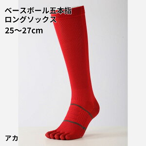 y TABIO SPORTSz x[X{[ ܖ{w O \bNX 25`27cm / C C ^rI ^rIX|[c   5{wC ܖ{w\bNX 싅 \bNX 5{w  z  ~ߕt