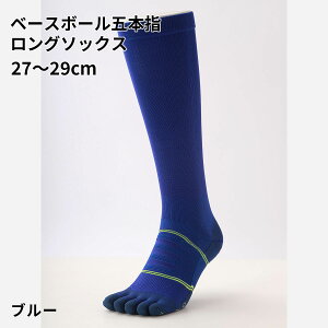 ySi`10/11 23:59zy TABIO SPORTSz x[X{[ ܖ{w O \bNX 27`29cm / C C ^rI ^rIX|[c   5{wC ܖ{w\bNX 싅 \bNX 5