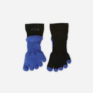 �y���� TABIO SPORTS�z �����Y �o�X�P�b�g�{�[�� �ܖ{�w�V���[�g 25�`27cm M�T�C�Y / �C���� �C�� �^�r�I �^�r�I�X�|�[�c BASKETBALL �o�X�P �X�|�[�c ���� ���� 5�{�w 5�{�w�C�� �ܖ{�w�C�� 5�{�w�\