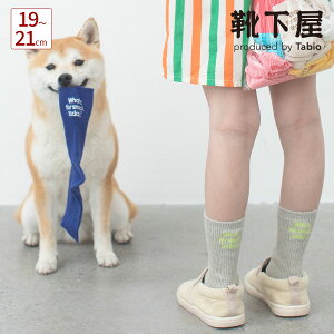 �y���� �C�����z �L�b�Y �����̂���͉��H �h�J �\�b�N�X 19�`21cm / �C�� �^�r�I Tabio ���� �N���[ �J�W���A�� ���b�Z�[�W�h�J �ȍ� �e�q�R�[�f �����N�R�[�f �q�ǂ� �W���j�A ���{�� maisonp