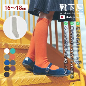 y Cz LbY x^ nC\bNX 16`18cm / C ^rI Tabio  nC \bNX q qǂ ʊw o  w  Ǝ \ WjA qǂ Zj[ WjA