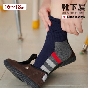 �y���� �C�����z �L�b�Y ���� �{�[�_�[ �f�U�C�� �\�b�N�X 16�`18cm / �C�� �^�r�I Tabio ���� �V���[�g �L�b�Y �q�� �q���p�C�� �j�̎q ���̎q �� ���{�� maisonpeca