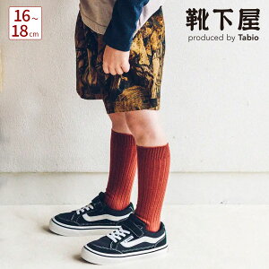 ySi|Cg10{`12/11 23:59zy Cz LbY Rbg u nC\bNX 16`18cm / C ^rI Tabio  nC \bNX Vv ʊw o  w  