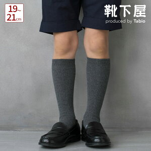y Cz LbY 2×1 u nC\bNX 19`21cm / 1 C ^rI Tabio  nC \bNX Ђ Zj[ ʊw o  w  Ǝ \ WjA qǂ q 