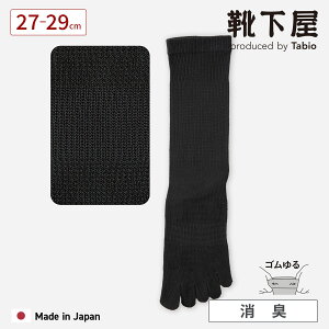 �y���� Tabio MEN�z�����Y �S�����f�I�Z���ܖ{�w�\�b�N�X 27.0�`29.0cm / �C���� �C�� �^�r�I �^�r�I���� ���� ���߂��Ȃ� �ܖ{�w�\�b�N�X 5�{�w�C�� ������������� ���L �f�I�h�����g ���n