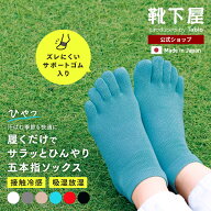 【WEB限定】五本指 冷感 スニーカー / 靴下屋 靴下 タビオ くつ下 5本指 5本指靴下 五本指靴下 5本指ソッ…