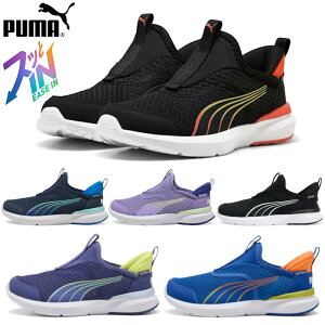 ܂  C nYt[ LbY v[} PUMA LbY WjA Xj[J[ N[Y vtH[ C[YC 310250 CRUISE PROFOAM EASE IN AC+PS g   C gȂŗ