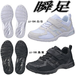 ̎q j̎q   ʊwC [JJ-184/JJ-188] LbY WjA Xj[J[ V\N y}WbN^Cvz ʊw  wyGG-01vnhpz