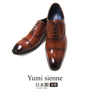~WFk Yumi Sienne 7405 amC rWlXV[Y YS-7405 C jR