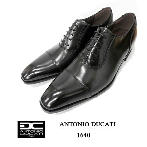 AgjIfJeB ANTONIO DUCATI 1640 ubN {v H Xg[g`bv DC1640 C uh p[eB[ ̓ v[g Mtg