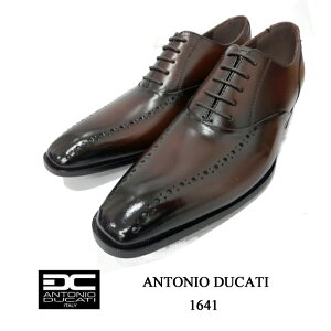 AgjIfJeB ANTONIO DUCATI 1641 _[NuE {v H DC1641 C uh p[eB[ ̓ v[g Mtg