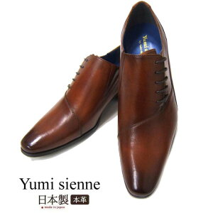 ~WFk Yumi Sienne 8326 uE TCh[X amC rWlXV[Y YS-8326 C jR