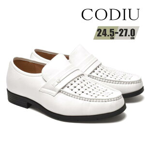 yŒZzz rWlXV[Y Y Xb| ʋC  4E L ₷ ubN  24.5cm-27.0cm ʋ d l CODIU 4406