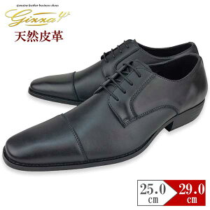 rWlXV[Y Y vC U[ v VRv Xg[g`bv OH 28cm 29cmΉ L 傫TCY  uE amC YV[Y C CCp[