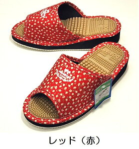 DorianNT_@Xbp@|݁@ځ@{@hA@fBX@No.6310B@@x_@