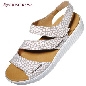 yCHOSHIKAWAz wGabor 63600xK{[ RtH[gT_23cm`24.5cm fB[Xx[W I[vgDxN obNxg{v t