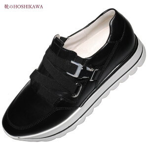 yCHOSHIKAWAz wGabor 83414xK{[ Xj[J[22cm`26cm fB[XU[V[Y ubNVRv |gK