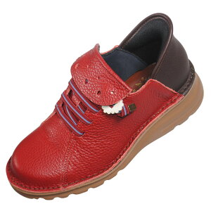 yCHOSHIKAWAz wA-OK 6006xG[I[P[ u[eB[21.5cm`24.5cm EEEEbh/uE fB[XS[X V[g䗧܂ܗ鍑Y L y H~