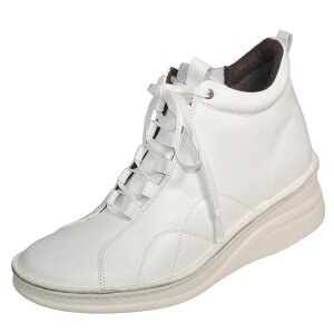 yCHOSHIKAWAz wA-OK 82771xG[I[P[ V[gu[c22cm`24.5cm fB[XzCg t@Xi[[XAbv { v H~