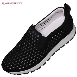 yCHOSHIKAWAz wde ocho A de ocho A162-19xfI`AfI` Xb|22cm`25cm fB[XubN U[Xj[J[CXg[ {v