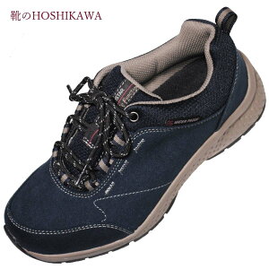 yCHOSHIKAWAz wSUPPLIST L172xTvXg hXj[J[22cm`25cm EEEElCr[ fB[X[XAbv RۖhLh L 